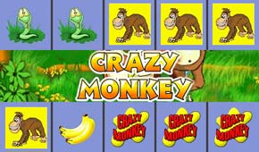 Crazy Monkey