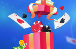 Bonuses and Promotions