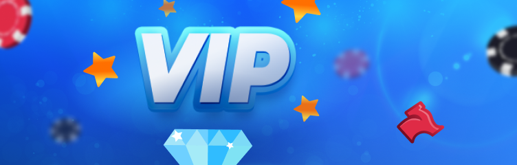Loyalty and VIP Program