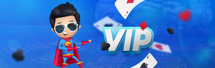 Loyalty and VIP Program