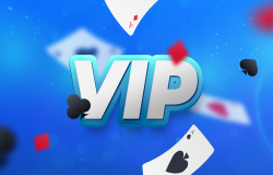 VIP/Loyalty Program